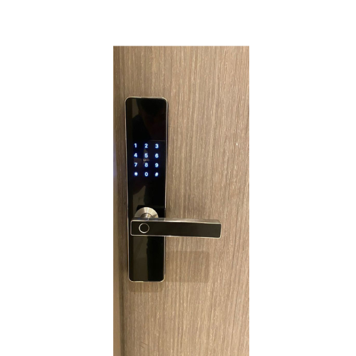 GuardLock Smart Handle